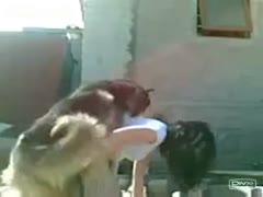Glamorous dogs drilling a sexy wife